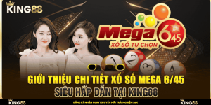 ảnh đại diện mega 645