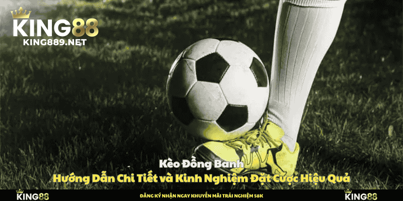 Ảnh đại diện kèo đồng banh