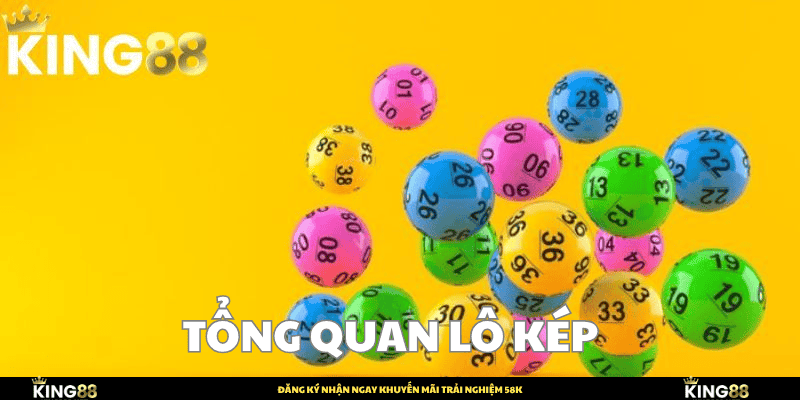 Tổng quan lô kép