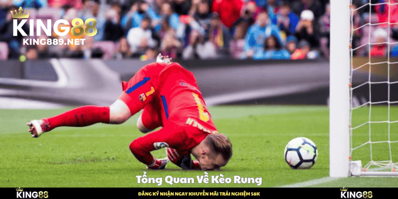 Tổng quan về kèo rung